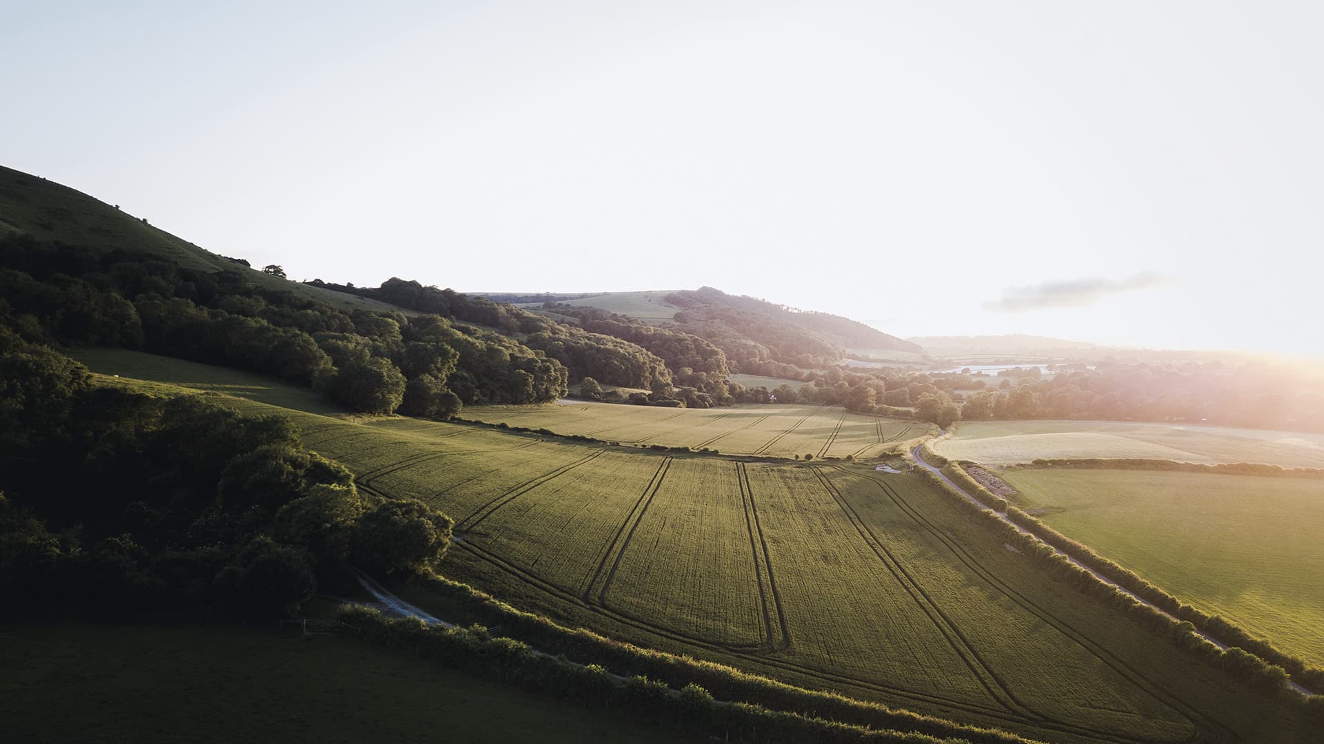 اكتشف6 تجارب مذهلة في المملكة المتحدة هذا الصيف